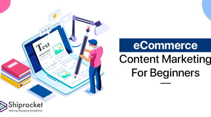 I will write engaging ecommerce content for product descriptions and blogs