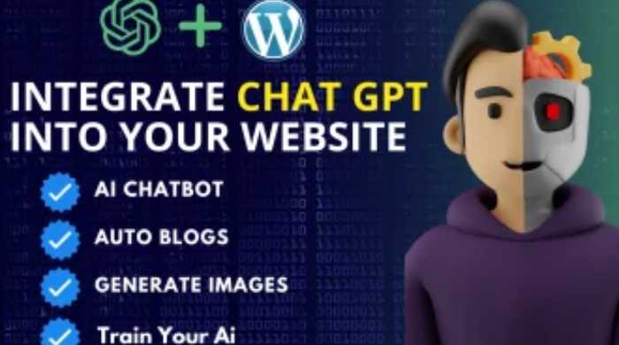 We will do chatgpt,openai or gpt3 integrations to websites